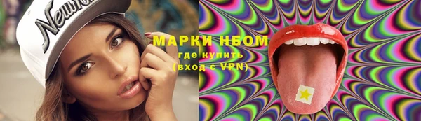 стаф Алексин