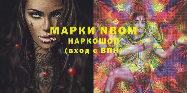 стаф Алексин