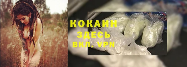 стаф Алексин