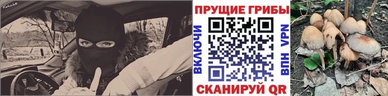 Псилоцибиновые грибы Cubensis  Лагань 